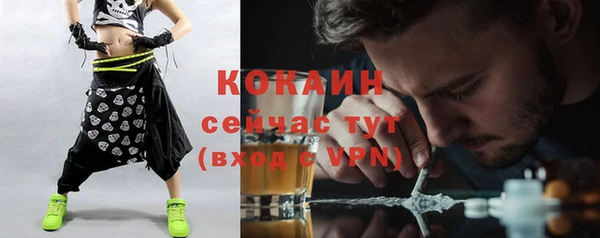 ALPHA-PVP Няндома