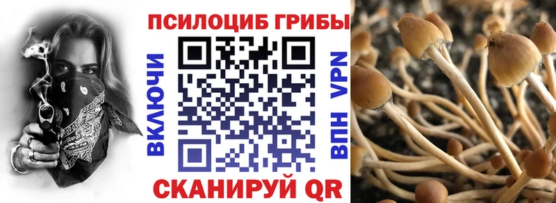OMG онион Дзержинск Псилоцибиновые грибы Magic Shrooms